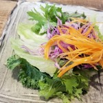 らいおん食堂 - 東南アジアプレートのサラダ