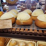 清泉寮ジャージーハット - 