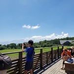 清泉寮ジャージーハット - テラスに足湯あり