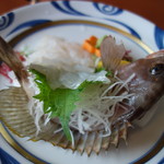 珈里葡 - アコウ