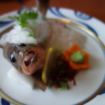 珈里葡 - アコウ