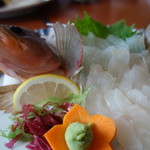 珈里葡 - アコウ