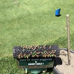 Karuizawa 72 Golf Higashi Course Restaurant