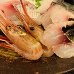 魚と酒 はなたれ - 甘エビはプリプリ。