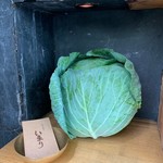 お好み焼き いまり - 店頭のシンボルのキャベツ