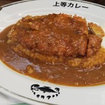 JOTO CURRY  - 