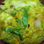 熊の川温泉ちどりの湯 - 親子丼アップ！