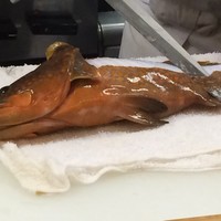 割烹 やました - 