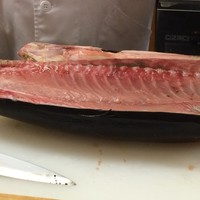 割烹 やました - 