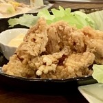 Taishuusakaba Momosakishouten - 若鶏の唐揚げ 480円(税抜)