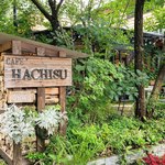 CAFE HACHISU - 看板