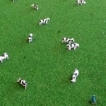 ミルクランドホッカイドウ→トウキョウ - 牧場のミニチュア