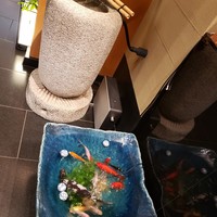 松阪牛 よし田 - レジ横にはつくばいと鯉