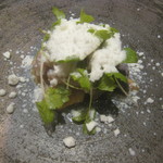 ラチュレ - 鯖UP