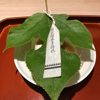 杦 - 