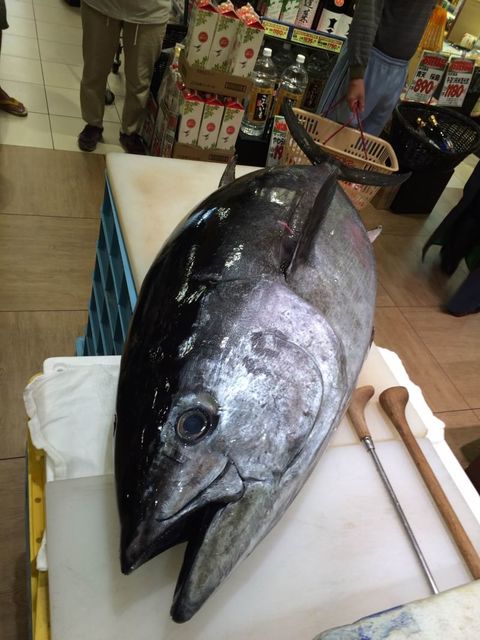 フードマーケット サタケ 梶町店 Foods Market Satake 大日 その他 食べログ フードマーケット サタケ 梶町店 Foods Market Satake 大日 その他 食べログ