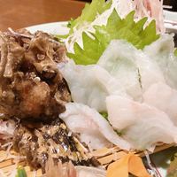 割烹 川田 - オコゼのお造り