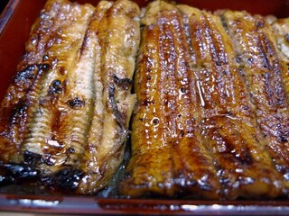 うなぎ　色川 - 鰻重特