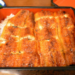 うなぎの宮 - うな重