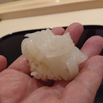 山もと - 烏賊 2019年8月