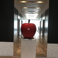 フレンチ キッチン - 