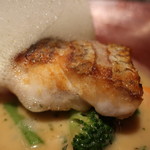 グランド ダイア - 天然真鯛