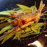 菊乃井 - 焼物(鮎塩焼)