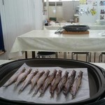 カネダイ大野商店 - 座席