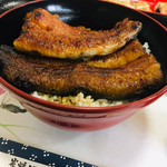 炭焼うなぎ 加茂 - 