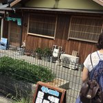 古民家 そらＣａｆｅ - 駐車場の番号があるのでどこに止めてもいいわけではありません。