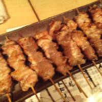 鳥ばか一代 - 
