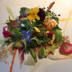 ミシェル・ブラス トーヤ ジャポン - 