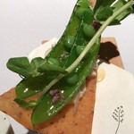 ミシェル・ブラス トーヤ ジャポン - 