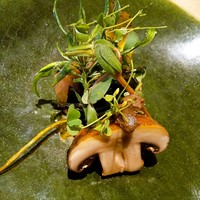 RISTORANTE IL NODO - マッシュルームが主役