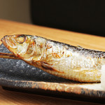 夜ノ焼魚 ちょな