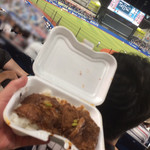 ZOZOマリンスタジアム - ナイター観戦の豚丼