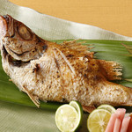 のどぐろ酒場 浜吉丸