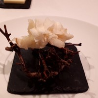 レストラン・モリエール - 