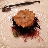 フレンチレストラン ミクニ サッポロ - 