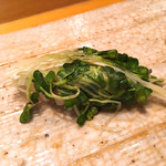 Sushi Hiroba - 