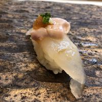 鮨 島本 - 