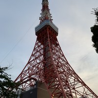 ワカヌイ グリル ダイニング バー 東京 - 
