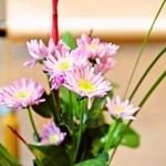 嵯峨沢館 - 2012/Jan.　お部屋の花