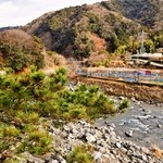嵯峨沢館 - 2012/Jan.　部屋の窓からの景色、清流狩野川沿いです