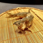 茶禅華 - 鮎の天ぷら 西瓜とトマトを含ませた紅蓼酢で