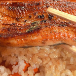 うなぎ 桜家 - 鰻が分厚い！！