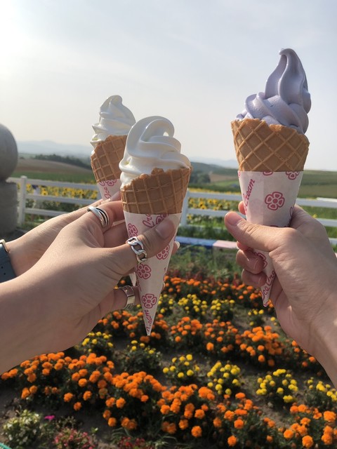 新栄の丘　風味舎 - 美馬牛（ジェラート・アイスクリーム）の写真