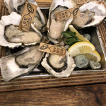 メリケンサカナ 名駅店 - 