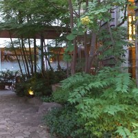 ダイニング 流 - 森