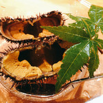 地魚料理 海山 - 